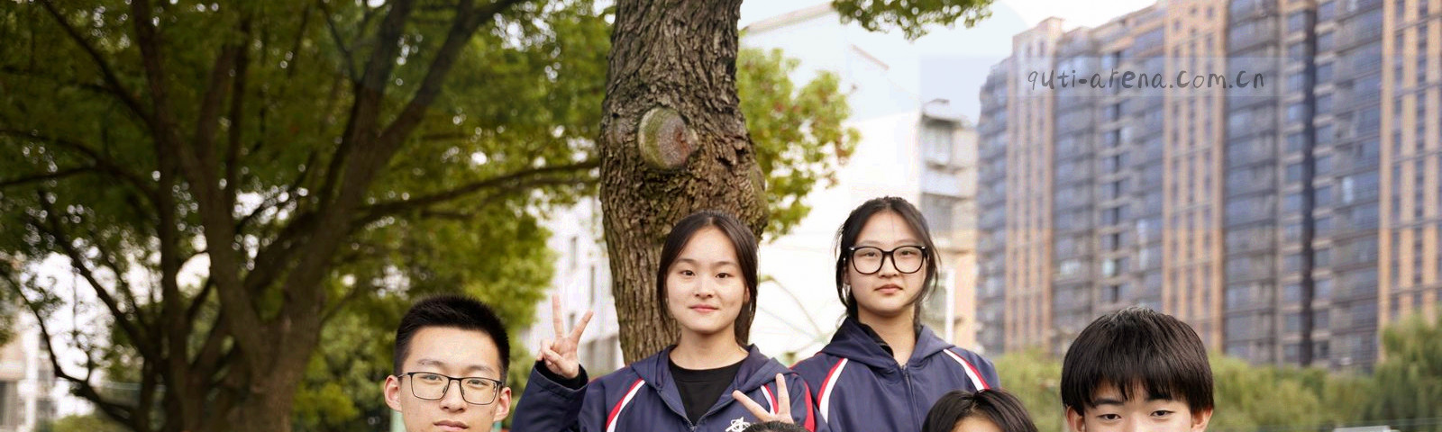 数据表格与草皮纹理叠加的抽象图形，冷绿色调，低对比度